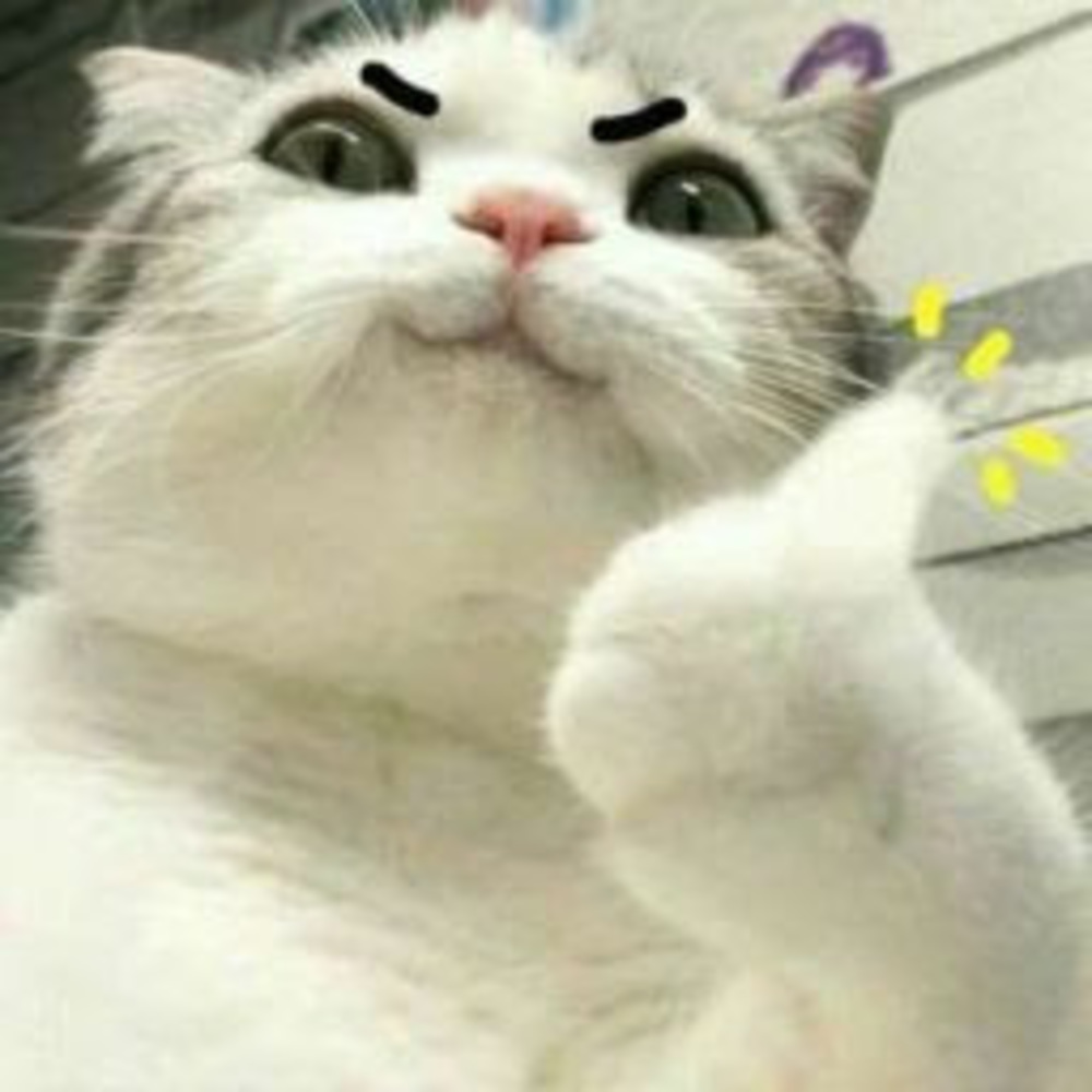Meet your Posher, Ilovecatz